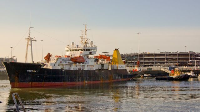 DSC02304 © Peter Taylor 2012