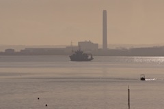 DSC02310 © Peter Taylor 2012