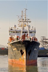 DSC02301 © Peter Taylor 2012