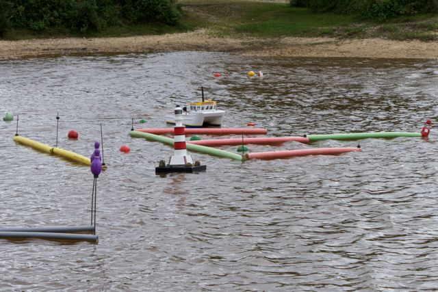 DSC06439 © Peter Taylor 2011