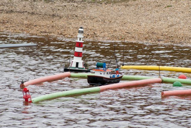 DSC02702 © Peter Taylor 2011