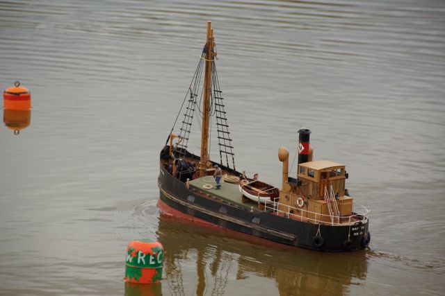 DSC03656 © Peter Taylor 2013