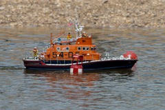 DSC01845 © Peter Taylor 2013