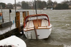 DSC04838 © Peter Taylor 2013