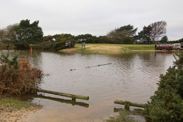 DSC02607 © Peter Taylor 2012