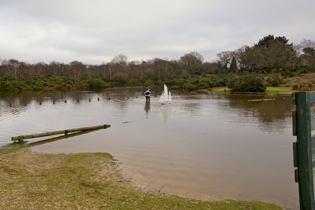 DSC02532 © Peter Taylor 2012