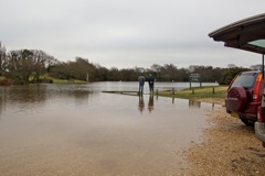 DSC02614 © Peter Taylor 2012