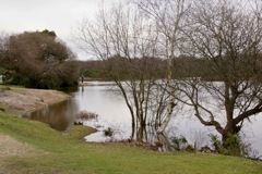 DSC02578 © Peter Taylor 2012