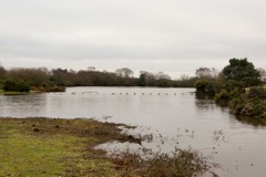 DSC02616 © Peter Taylor 2012