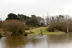DSC02530 © Peter Taylor 2012