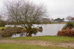 DSC02558 © Peter Taylor 2012