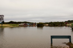 DSC02565 © Peter Taylor 2012