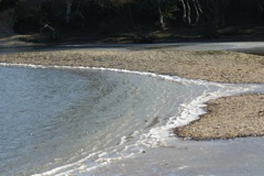 DSC03359 © Peter Taylor 2012