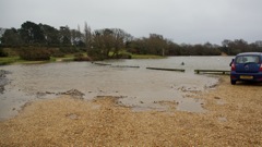 Setley_Pond_early_2014