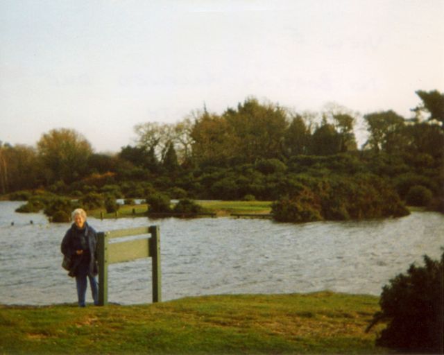 View E -  © G.R.E.Yeatman 2001