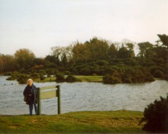 View E -  © G.R.E.Yeatman 2001
