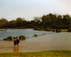 View D -  © G.R.E.Yeatman 2001