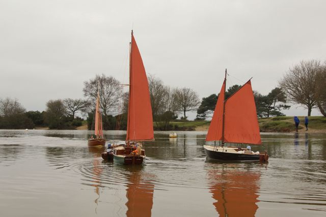 DSC06367  © Peter Taylor 2015