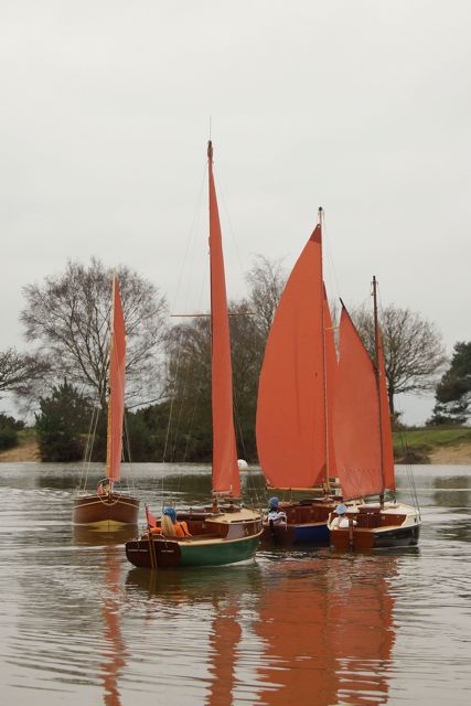 DSC06368  © Peter Taylor 2015
