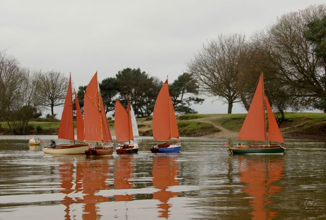 DSC06371  © Peter Taylor 2015