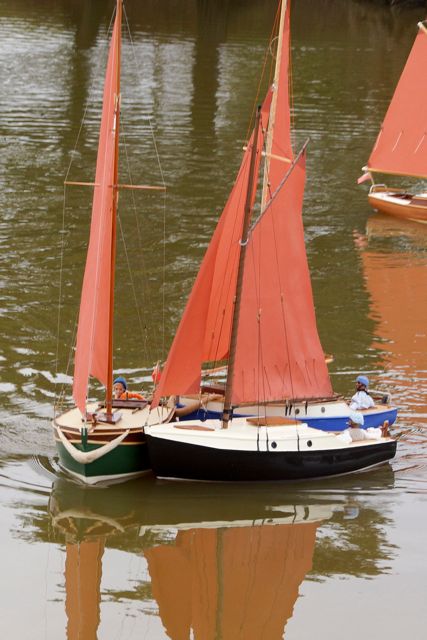 DSC06353  © Peter Taylor 2015