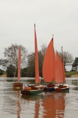 DSC06368 © Peter Taylor 2015