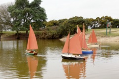 DSC06354 © Peter Taylor 2015