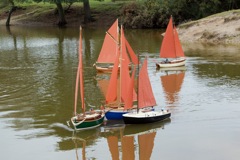 DSC06352 © Peter Taylor 2015