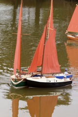 DSC06353 © Peter Taylor 2015