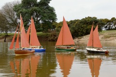 DSC06357 © Peter Taylor 2015