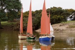 DSC06363 © Peter Taylor 2015