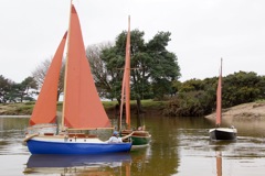 DSC06365 © Peter Taylor 2015