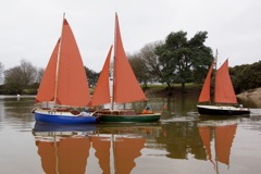 DSC06366 © Peter Taylor 2015