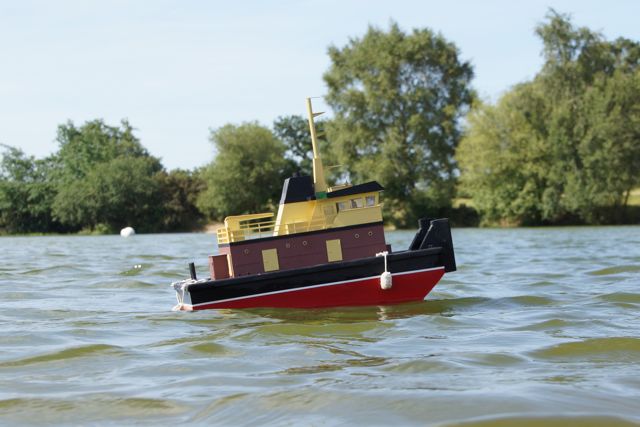 DSC00619 © Peter Taylor 2012