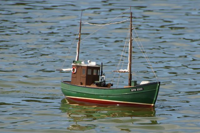 DSC00653 © Peter Taylor 2012