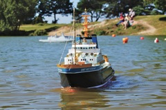 DSC00685 © Peter Taylor 2012