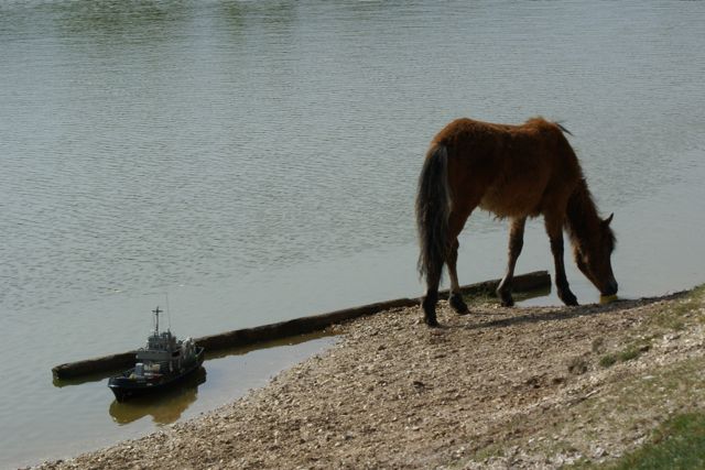 10/05/2009 DSC09468.JPG