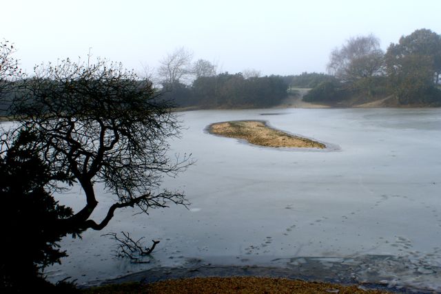 DSC02729
