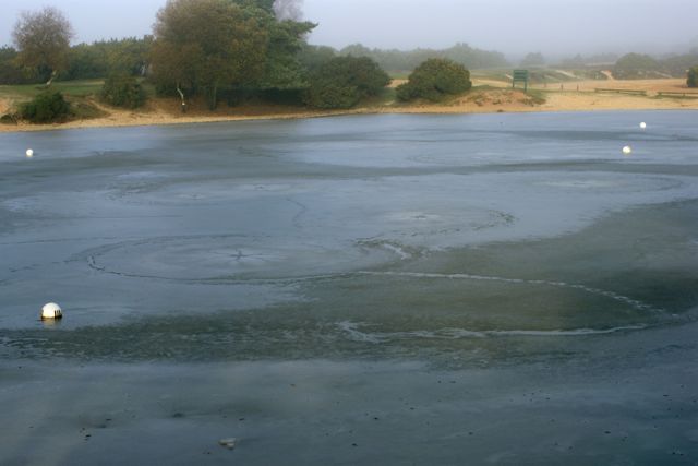 DSC02730
