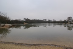 The_Pond_31st_December_2008