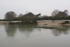 DSC08410.JPG