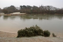 DSC08415.JPG