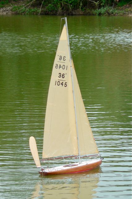 P1020530 © Peter Taylor 2006