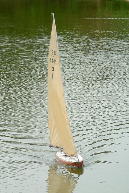 P1020553 © Peter Taylor 2006