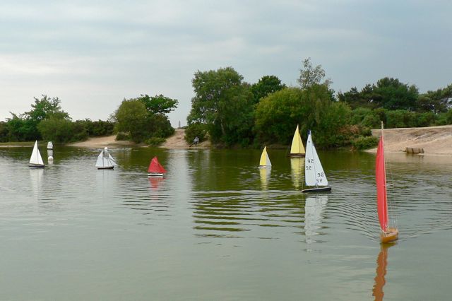 P1020515 © Peter Taylor 2006
