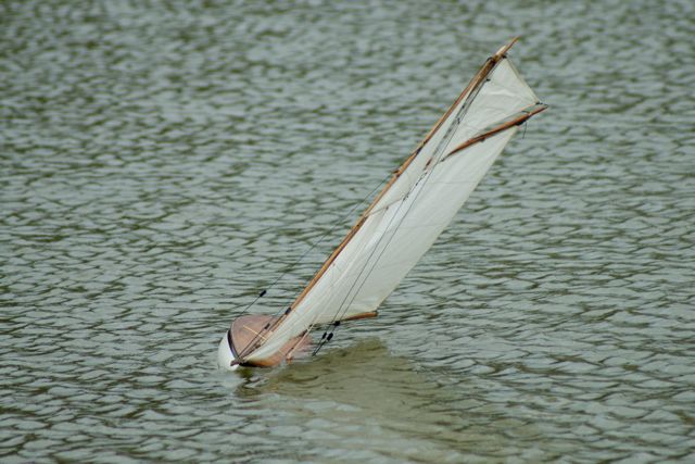 VMYG DSC01355