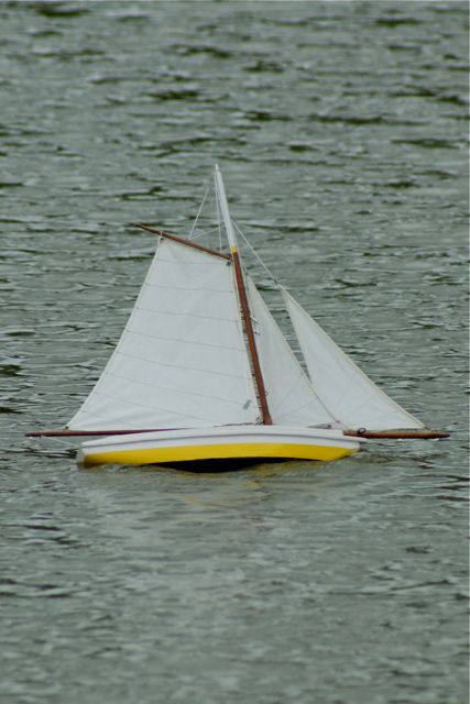 VMYG DSC01351