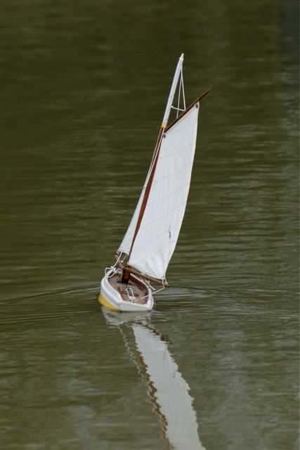 VMYG DSC01370