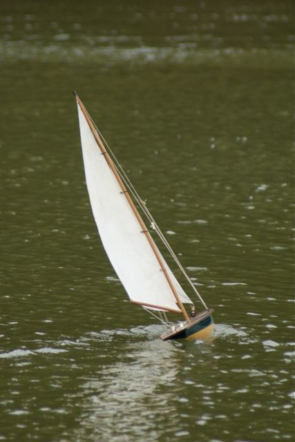VMYG DSC01334