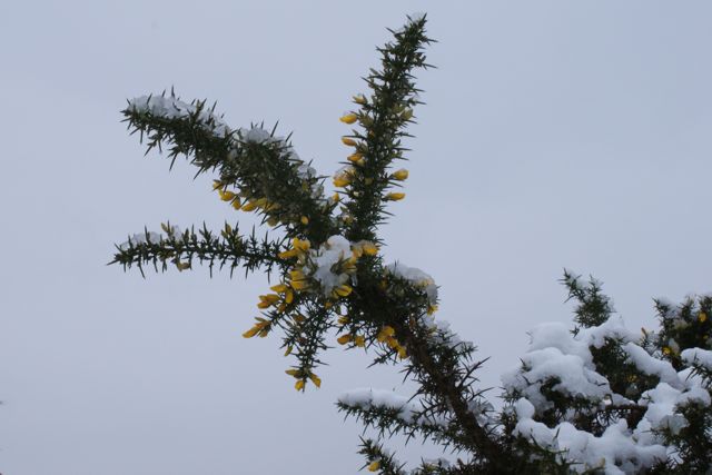 5/3/2009 DSC00311.JPG